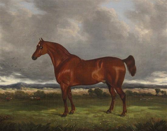 19C English School, oil on canvas, study of a hunter in a landscape